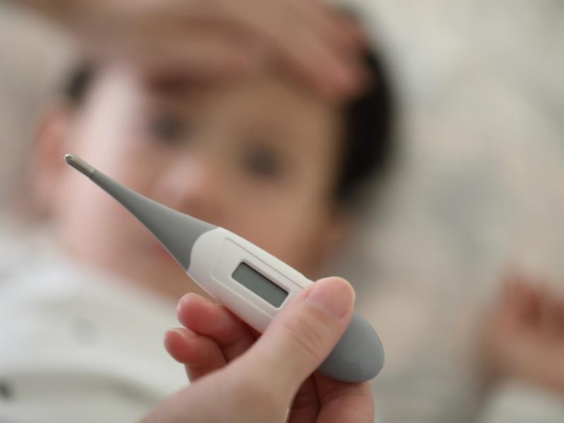 Febre Oropouche: O Que É, Sintomas, Transmissão e Como Se Proteger