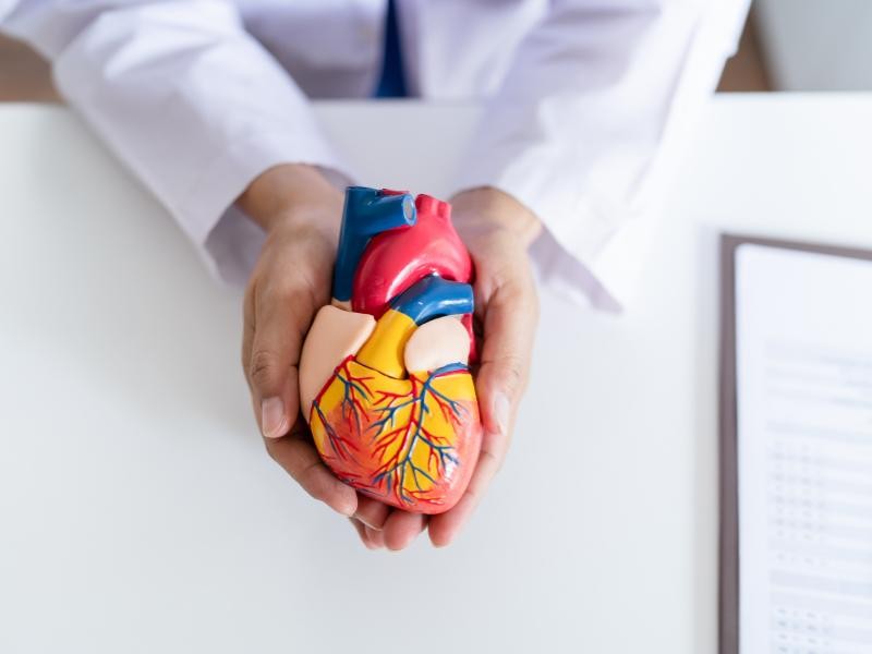 Cardiologia: Cuidando do Seu Coração na Clínica